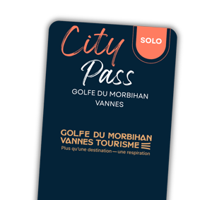 City Pass Solo